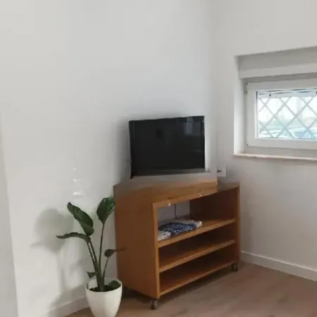 Fondo De Bikini Apartman